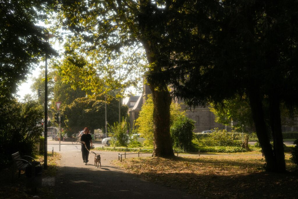 Do You Really Need 10,000 Steps a Day for Better Health? Answered!