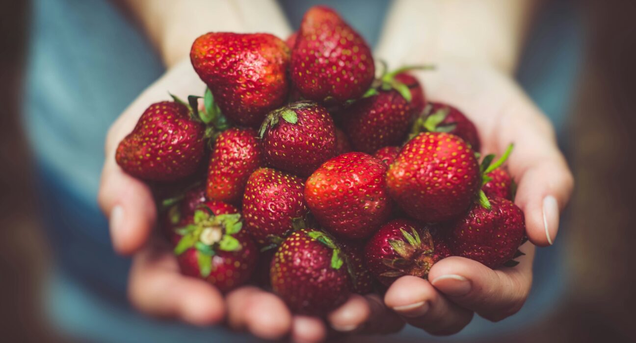 Do Certain Foods Boost Metabolism? Separating Fact from Fiction